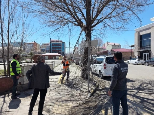 Belediye ekiplerinden ağa&ccedil; budama &ccedil;alışması
