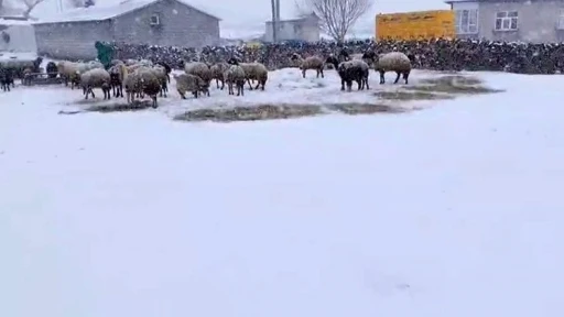 Besicilerin kar esareti sürüyor
