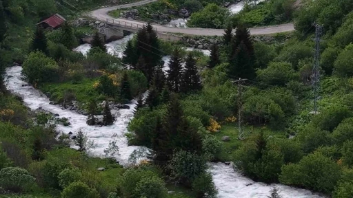Beyaz &ouml;rt&uuml; kalktı, Rize yaylaları yeşile b&uuml;r&uuml;nd&uuml;
