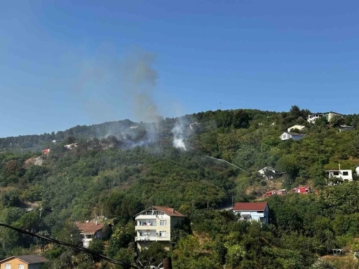 Beykoz’da bulunan ormanlık alanda yangın çıktı. Olay yerine çok sayıda itfaiye ekibi sevk edildi.
