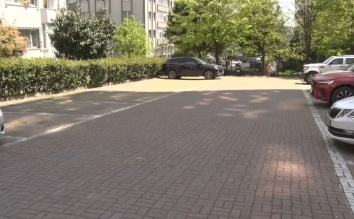 Beylikd&uuml;z&uuml;&rsquo;nde başıboş k&ouml;pekler vatandaşı kovaladı
