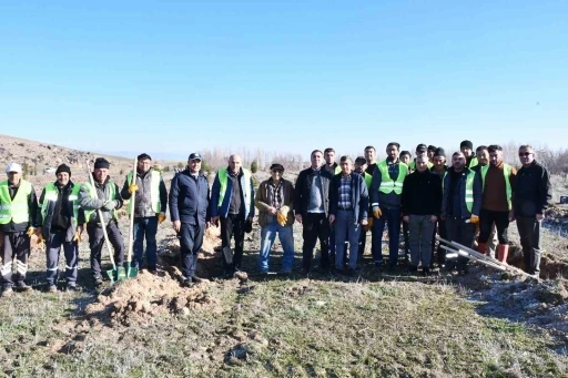 Beylikova Belediyesi bin adet kara&ccedil;am fidanı dikti
