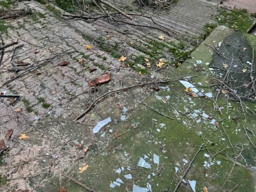 Beyoğlu&rsquo;nda ağacın kırılan dalları binanın &uuml;zerine d&uuml;şt&uuml;
