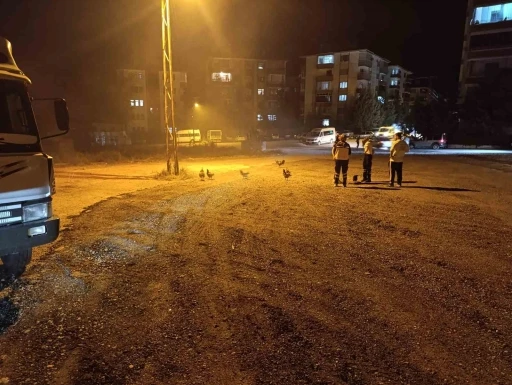 Beypazarı’nda kümes yangını: 41 tavuk telef oldu
