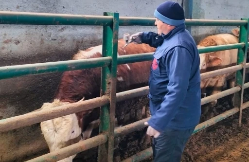 Beyşehir’de hayvan sağlığı için seferberlik
