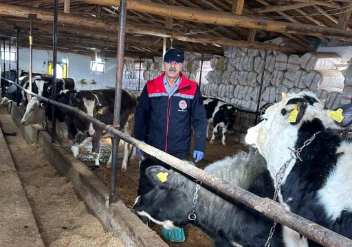 Beyşehir&rsquo;de hayvancılık faaliyetleri yakın takipte
