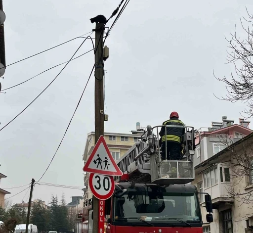 Beyşehir&rsquo;de itfaiye merdiveni bu kez direğin tepesindeki kedi i&ccedil;in uzatıldı
