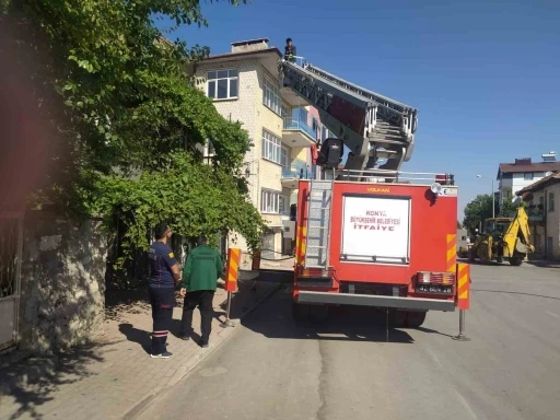 Beyşehir’de itfaiyenin kedi kurtarma seferberliği
