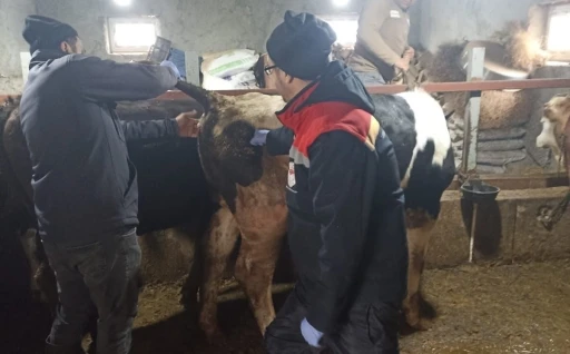 Beyşehir&rsquo;de şap ile m&uuml;cadelede &ccedil;alışmaları
