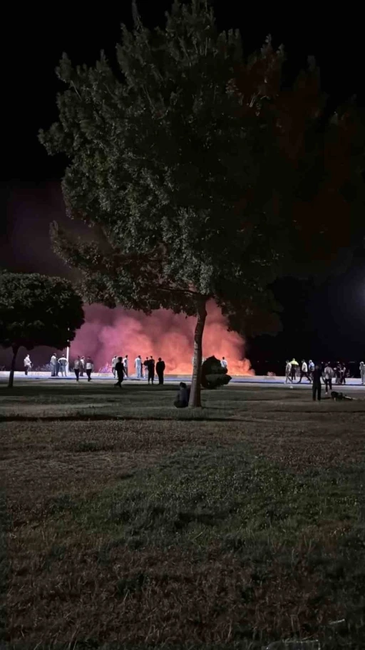 Beyşehir Gölü kenarında korkutan yangın
