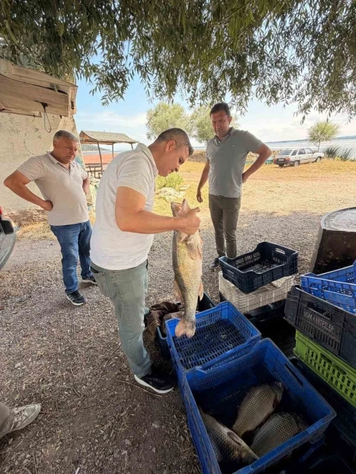 Beyşehir G&ouml;l&uuml;&rsquo;nde avlanan balıklar tek tek kontrol edildi
