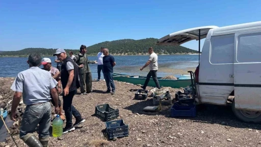 Beyşehir Gölünde ağlara vuran 17 kiloluk sazan balığı şaşırttı
