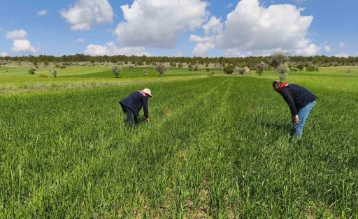 Beyşehir’in tarım alanları yakın takipte
