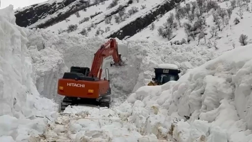 Beyt&uuml;şşebap&rsquo;ta &ccedil;ığ alarmı
