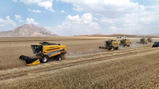 Biçerdöverler aynı anda tarlalara girdi, binlerce dekar arazide hasat sürüyor
