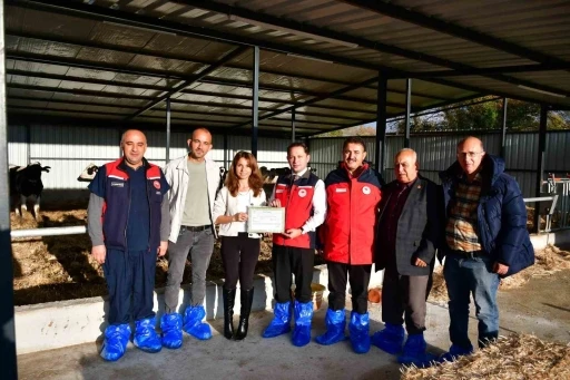 Biga’da kaliteli hayvansal üretim yapan üreticiye Ari İşletme Belgesi
