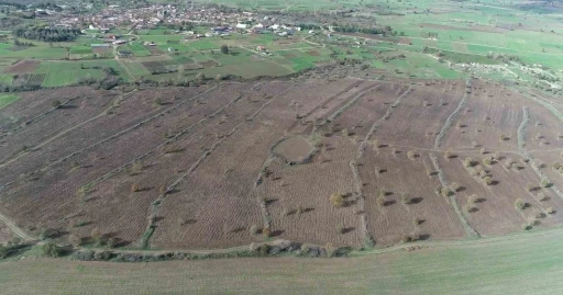 Biga’da proje çerçevesinde 2 yılda 845 dekar mera alanı ıslah edildi
