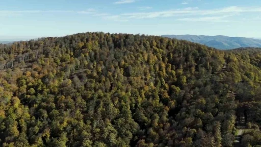 Biga’da sonbahar renklerine bürünen ormanlar havadan görüntülendi
