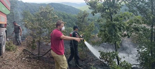 Bilecik&rsquo;te 20 d&ouml;n&uuml;ml&uuml;k alanda korkutan yangın
