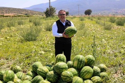Bilecik&rsquo;te 62 bin tonluk karpuz hasadı bekleniyor
