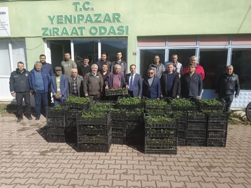 Bilecik&rsquo;te 8 bin &ccedil;ilek fidesi &uuml;reticiyle buluştu
