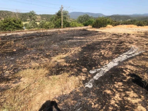 Bilecik’te anız yangını büyümeden söndürüldü
