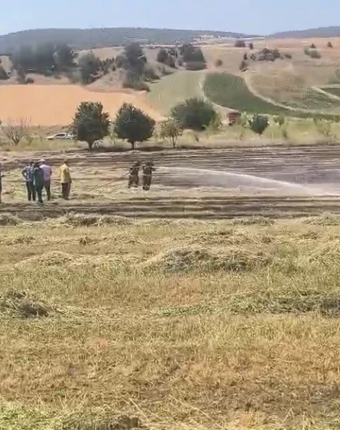 Bilecik’te anız yangını söndürüldü
