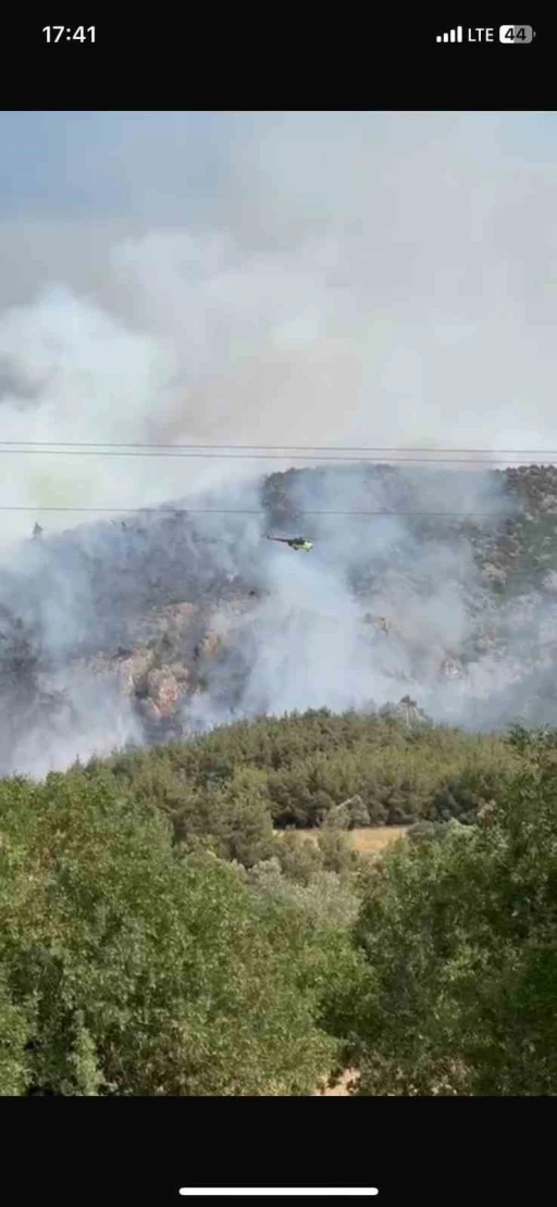 Bilecik’te bir başka orman yangını daha çıktı
