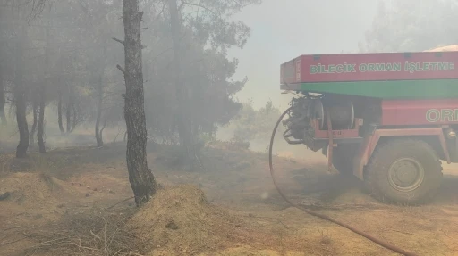 Bilecik’te buğday tarlasında çıkan yangın ormanlık alana sıçradı

