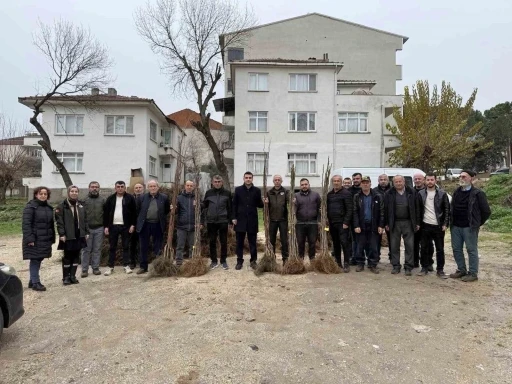 Bilecik&rsquo;te &ccedil;ift&ccedil;ilere meyve fidanı desteği
