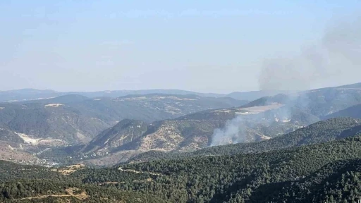 Bilecik’te çıkan orman yangını kontrol altına alındı
