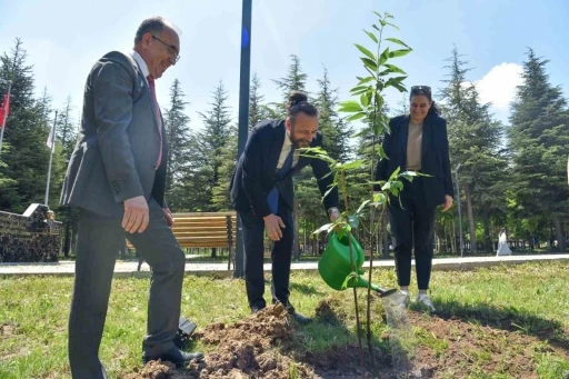 Bilecik&rsquo;te &rsquo;Kamp&uuml;s&uuml; Ağa&ccedil;landırıyoruz&rsquo; sloganıyla fidanlar toprakla buluştu
