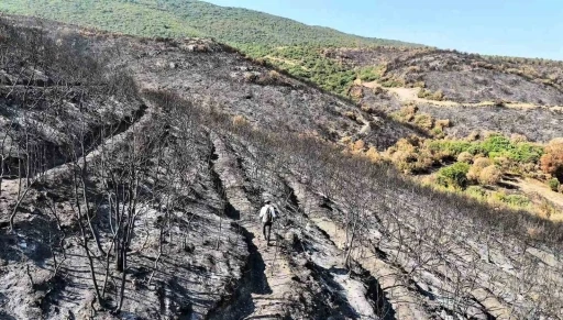 Bilecik’te orman yangını sonrası yürek burkan manzara havadan görüntülendi
