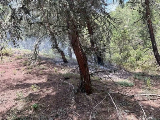 Bilecik&rsquo;te ormanlık alana yıldırım d&uuml;şt&uuml;
