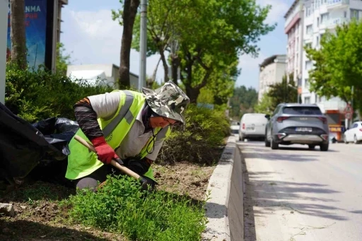 Bilecik&rsquo;te park ve bah&ccedil;eler m&uuml;d&uuml;rl&uuml;ğ&uuml;nden yaza hazırlık &ccedil;alışmaları
