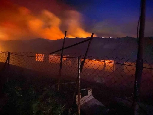 Bilecik’te tavuk çiftliğinde korkutan yangın

