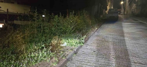 Bilecik&rsquo;te vatandaşlar otlardan kaldırımda y&uuml;r&uuml;yemiyor
