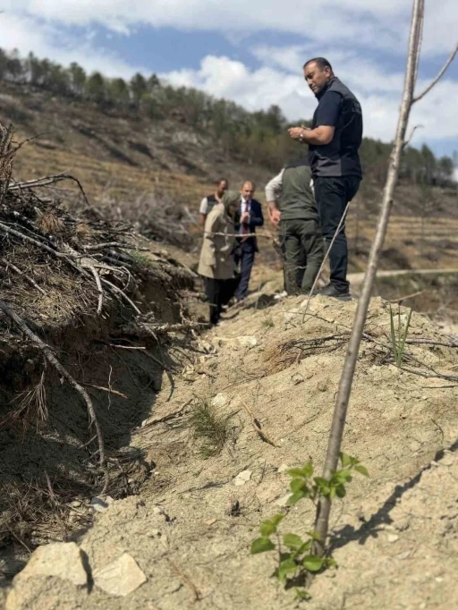 Bilecik&rsquo;te yangın sahalarında ağa&ccedil;landırma &ccedil;alışmaları incelendi
