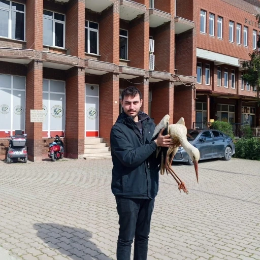 Bilecik&rsquo;te yaralı leylek koruma altına alındı
