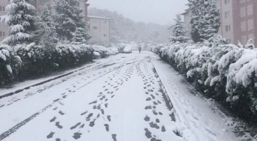 Bilecik’teki kar bazı köy yollarını ulaşıma kapattı
