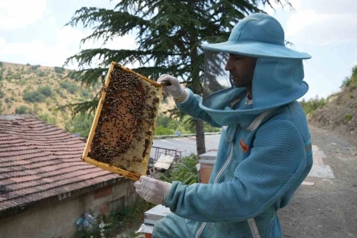 Bin 200 &ccedil;eşit endemik bitki t&uuml;r&uuml;yle 4 kuşaktır s&uuml;ren gelenek: Kanyon balında 4 tonluk rekolte
