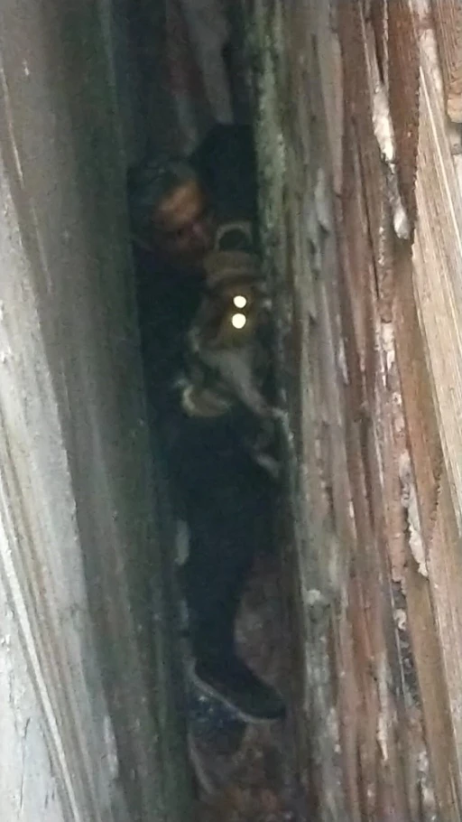 Bina boşluğuna düşen kedi, 7 saatlik operasyonla kurtarıldı
