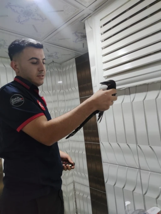 Binanın havalandırma boşluğunda mahsur kalan karga kurtarıldı
