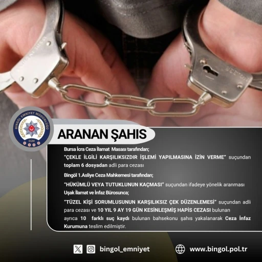 Bingöl’de 10 yıl kesinleşmiş hapis cezası bulunan şahıs yakalandı
