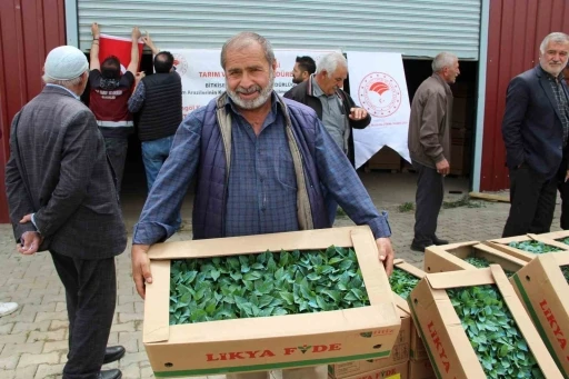 Bing&ouml;l&rsquo;de 330 bin sebze fidesi &uuml;reticilere dağıtıldı
