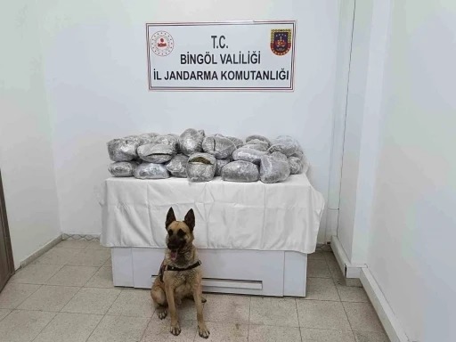 Bingöl’de 49 kilo esrar ele geçirildi
