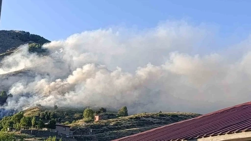 Bingöl’de ağaçlık alanda yangın
