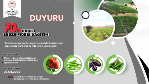 Bingöl’de çiftçilere yüzde 70 hibe destekli sebze fidesi dağıtılacak
