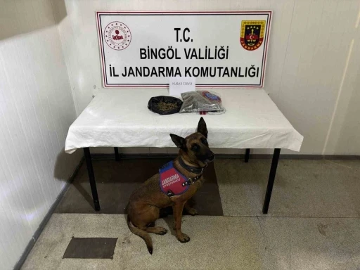 Bing&ouml;l&rsquo;de haklarında kesinleşmiş hapis cezası bulunan 4 zanlı tutuklandı
