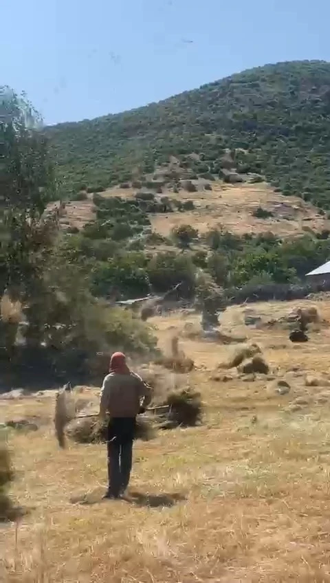 Bingöl’de hortum otları uçurdu
